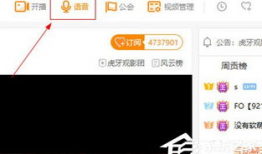 91的直播怎么关闭,一键操作指南